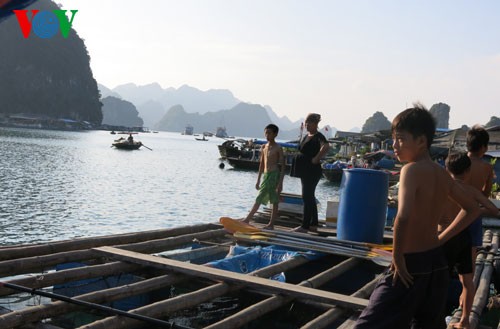 Cua Van, Vung Vieng - Dörfer auf dem Meer - ảnh 6