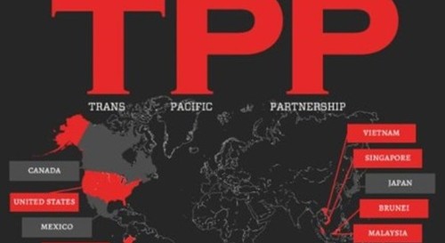 Vietnam engagiert sich für TPP-Verhandlungen - ảnh 1