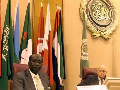 Außenministerkonferenz der Arabischen Staaten in Ägypten - ảnh 1