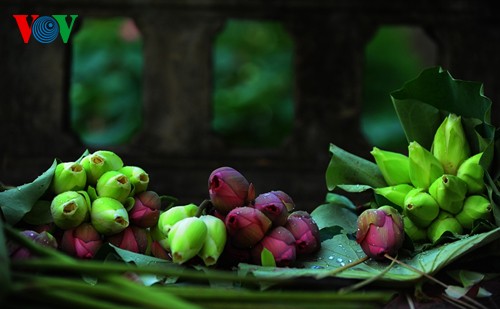 Die sanfte Schönheit der Lotusblumen in Hue - ảnh 9