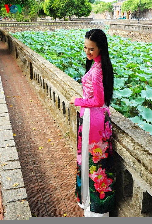 Die sanfte Schönheit der Lotusblumen in Hue - ảnh 10