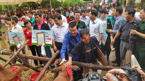 Staatspräsident Truong Tan Sang zu Gast bei der Kuh-Überreichung für Bedürftigte im Grenzgebiet - ảnh 1