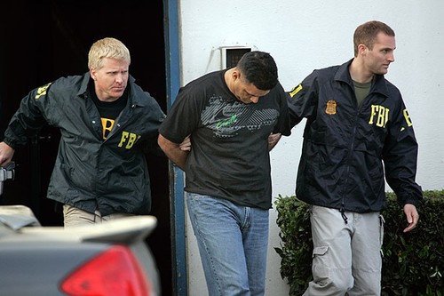 USA: Sechs Terrorverdächtige festgenommen - ảnh 1