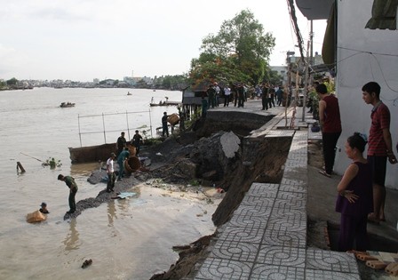 Seminar „Erdrutsch unter Kontrolle im Mekong-Delta“ - ảnh 1