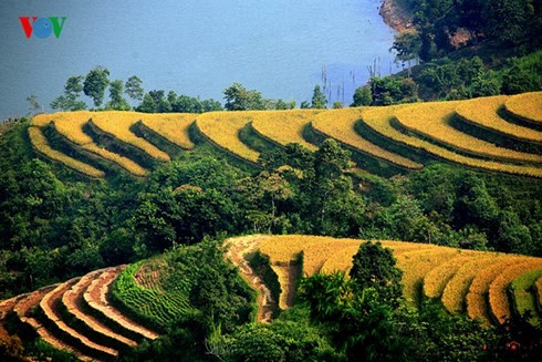 Beginn der Tourismus- und Kulturwoche der Reisterrassen im Kreis Hoang Su Phi - ảnh 1