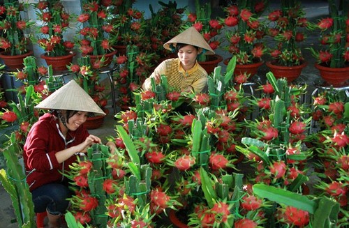 Weltbank hebt die Prognose über das Wirtschaftswachstum Vietnams - ảnh 1