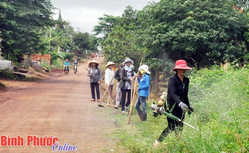 Die Provinz Binh Phuoc schafft Einigung bei Neugestaltung ländlicher Räume - ảnh 1