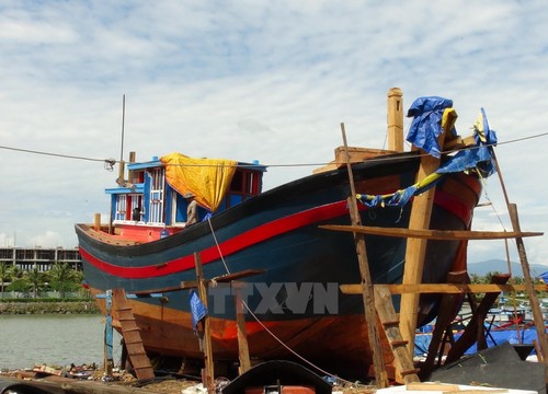 Binh Thuan hilft den Bewohnern beim Fischfang - ảnh 1