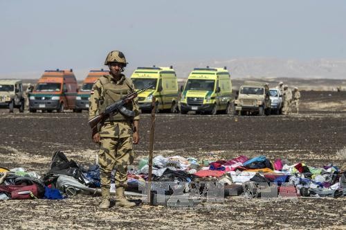 Flugzeugabsturz in Ägypten: 58 Leichen wurden identifiziert - ảnh 1