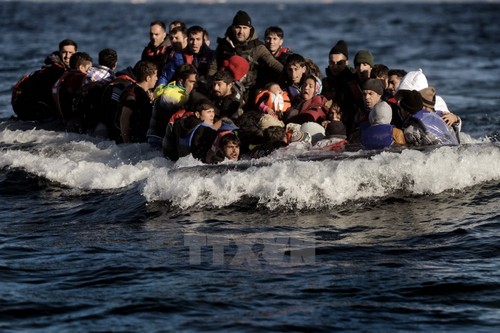 Sondersitzung der EU über Flüchtlingskrise - ảnh 1