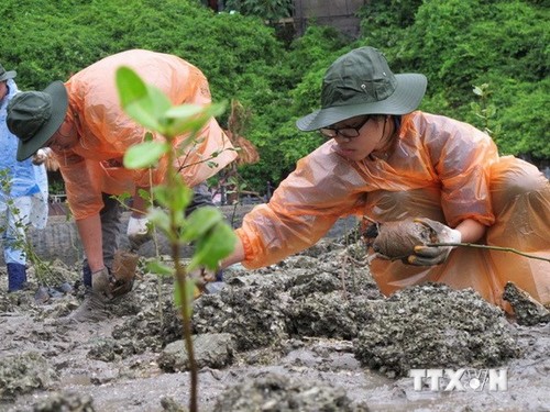 Vietnam engagiert sich mit der internationalen Gemeinschaft für die Anpassung an den Klimawandel - ảnh 1