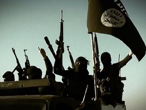 Türkei nimmt neun IS-Verdächtige fest - ảnh 1