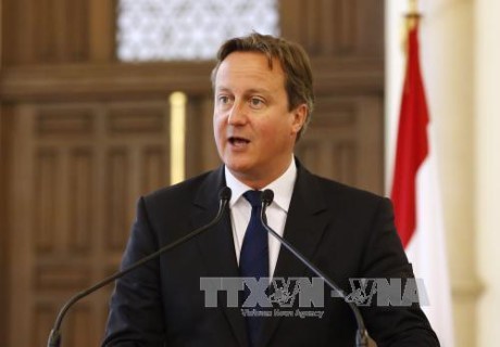 Britischer Premierminister: Kein rasches Referendum über den Austritt aus der EU - ảnh 1