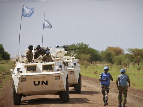 UN-Sicherheitsrat warnte vor Gewalt in Südsudan - ảnh 1