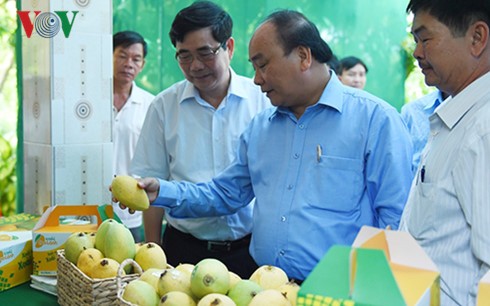Weitere Aktivitäten vom Premierminister Nguyen Xuan Phuc in der Provinz Dong Thap - ảnh 1