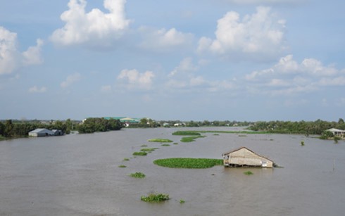 Weltbank hilft Vietnam bei der Anpassung an den Klimawandel  - ảnh 1