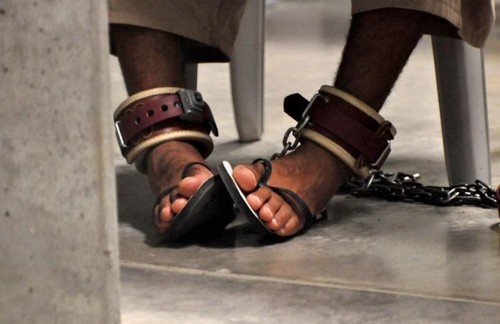 USA lassen 15 Gefangene aus Guantanamo frei - ảnh 1