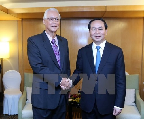 Staatspräsident Tran Dai Quang beendet den Staatsbesuch in Singapur - ảnh 1