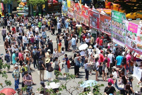 Eröffnung des vietnamesischen Festes in Japan - ảnh 1