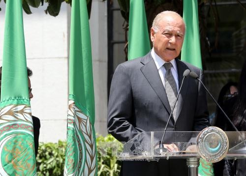  Arabische Liga: Israel soll die Politik zur Eskalation der Spannungen vermeiden - ảnh 1