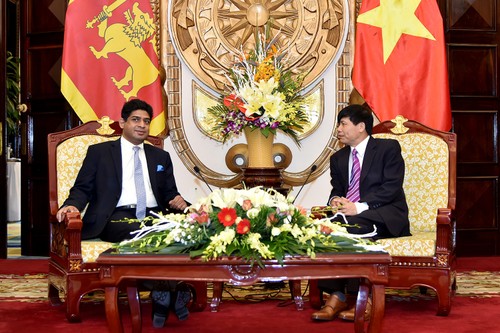 Handelsvolumen zwischen Vietnam und Sri Lanka soll auf eine Milliarde US-Dollar erhöht werden - ảnh 1