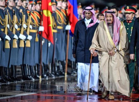Russlands Präsident und Saudi-Arabiens König diskutieren viele wichtige internationale Fragen - ảnh 1