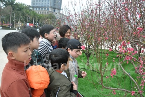Fest der Pfirsichblüte in Provinz Lang Son - ảnh 1