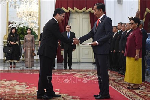 Indonesien verstärkt Zusammenarbeit mit Vietnam bei der L regionalen und internationalen Fragen - ảnh 1