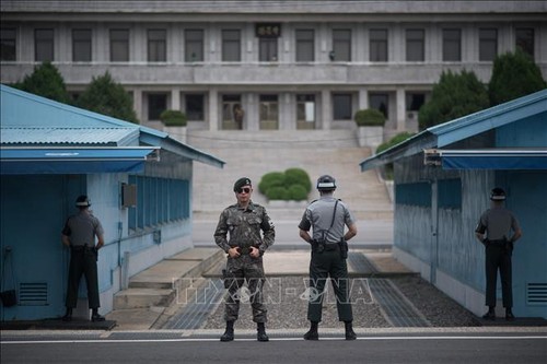 Südkorea und die USA arbeiten in Militärfragen der beiden koreanischen Staaten zusammen - ảnh 1