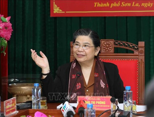 Ständige Vizeparlamentspräsidentin Tong Thi Phong besucht die Stadt Son La - ảnh 1