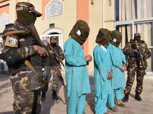Afghanische Armee vernichten einen weiteren hochrangigen Taliban-Kommandeur - ảnh 1