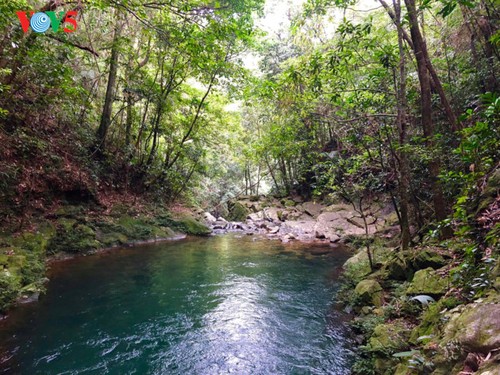 Eroberung der gefährlichen Abenteuerstraße Ngu Ho und des Wasserfalls Do Quyen - ảnh 3