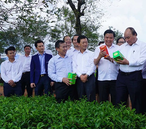 Premierminister Nguyen Xuan Phuc tagt mit Leitern der Provinz Gia Lai - ảnh 1