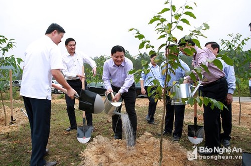 Premierminister Nguyen Xuan Phuc startet das Baumanpflanzfest in Nghe An - ảnh 1