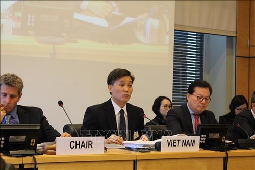 Vietnam verpflichtet sich, die zivilen und politischen Rechte zu schützen und zu fördern - ảnh 1
