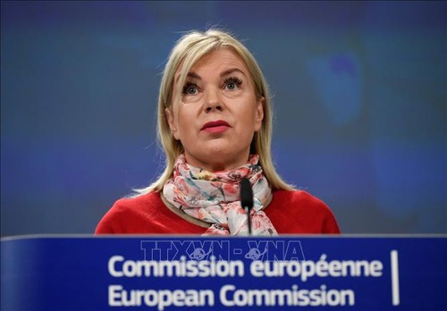 EU kündigt Investition von 500 Millionen Euro für in Verteidigungsprojekte an - ảnh 1