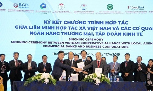 Vizepremierminister Vuong Dinh Hue nimmt am Rechtsforum internationaler Genossenschaftsallianz im Asien-Pazifik-Raum teil  - ảnh 1