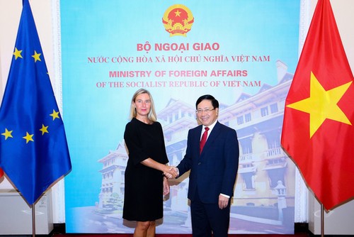 Zusammenarbeit zwischen Vietnam und EU weiter vorantreiben - ảnh 1