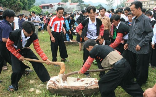 Zahlreiche Aktivitäten zum vietnamesischen Nationalfeiertag - ảnh 1