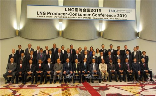 Vietnam nimmt an internationaler Konferenz zur Produktion und zum Verbrauch von Flüssigerdgas in Japan teil - ảnh 1