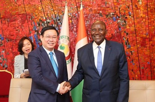 Vizepremierminister Vuong Dinh Hue trifft den Vizepräsidenten der Elfenbeinküste - ảnh 1