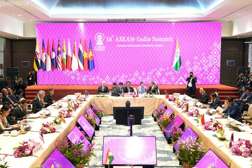 16. ASEAN-Indien-Gipfeltreffen - ảnh 1