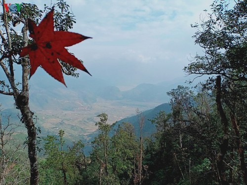 Stille Atmosphäre im Kreis Mu Cang Chai im Winter - ảnh 6