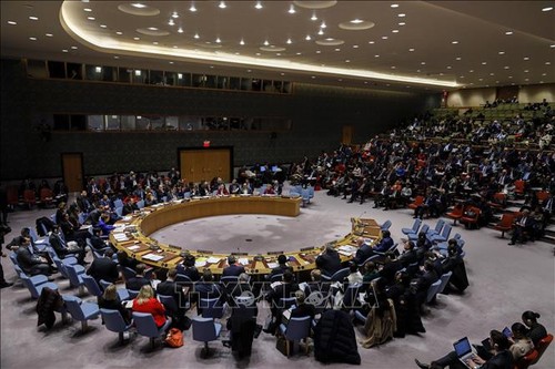 Vietnam und UN-Sicherheitsrat: Vietnam unterstützt die Suche nach politischer Lösung für Syrien - ảnh 1