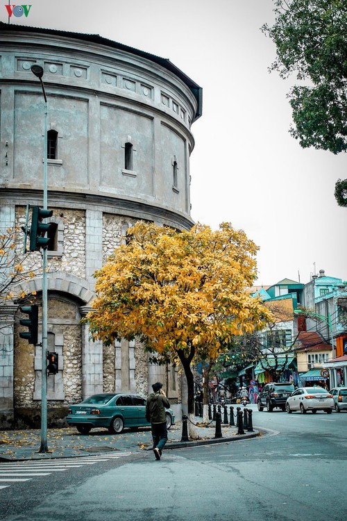 Die romanische Schönheit der Stadt Hanoi in der Zeit, in der Bäume ihre Blätter wechseln - ảnh 10
