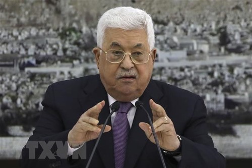 Parteien in Palästina diskutieren über den Plan zum territorialen Anschluss Israels - ảnh 1