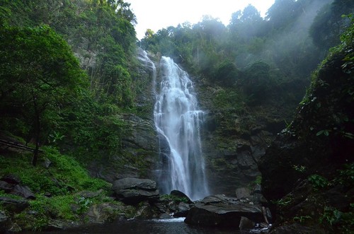 Nationalpark Pu Mat als Heritage Park der ASEAN aufbauen - ảnh 1