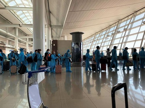 Fast 340 vietnamesische Staatsbürger aus Südkorea kehren ins Heimatland zurück - ảnh 1