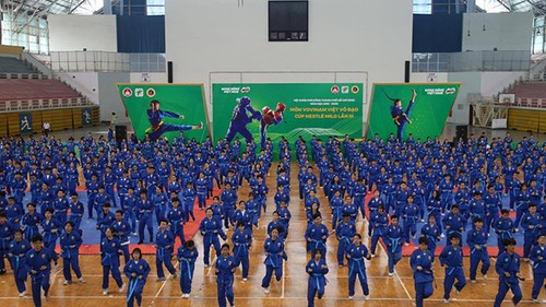 Turnier der vietnamesischen Kampfkunst Vovinam in Ho Chi Minh Stadt - ảnh 1