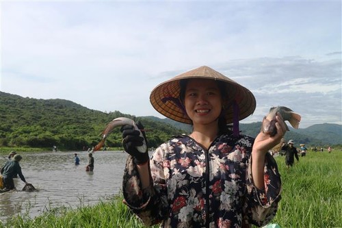 Fischfangfest Dong Hoa in Provinz Ha Tinh - ảnh 1